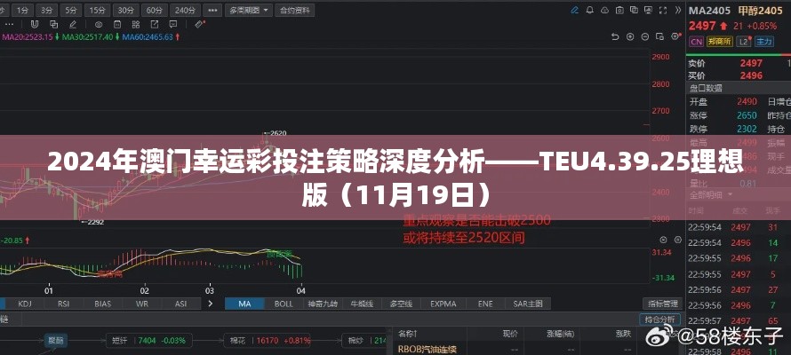 2024年澳门幸运彩投注策略深度分析——TEU4.39.25理想版（11月19日）