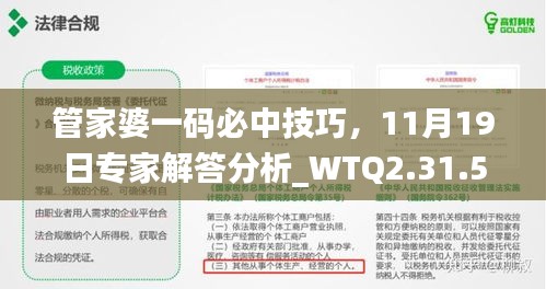 管家婆一码必中技巧，11月19日专家解答分析_WTQ2.31.59美学版