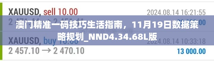 澳门精准一码技巧生活指南，11月19日数据策略规划_NND4.34.68L版