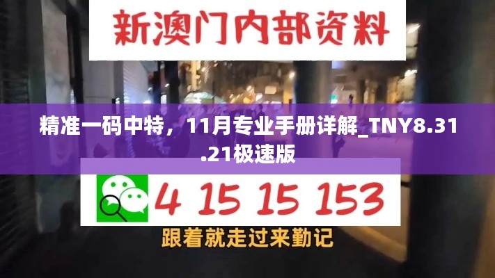 精准一码中特，11月专业手册详解_TNY8.31.21极速版