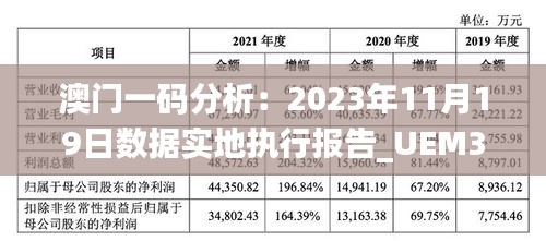 澳门一码分析：2023年11月19日数据实地执行报告_UEM3.27.24主力版