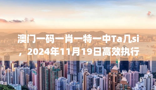 澳门一码一肖一特一中Ta几si，2024年11月19日高效执行解析现象_JBY8.53.89投影版