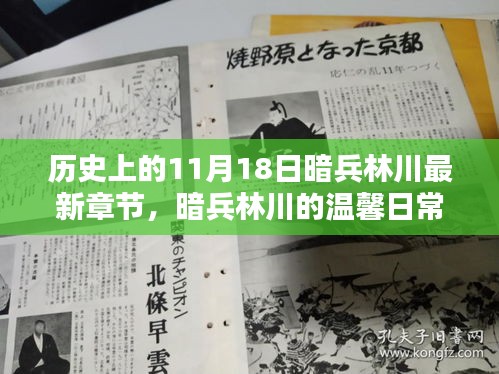 11月18日暗兵林川的温馨奇遇与最新章节概览