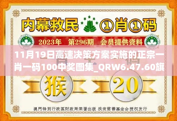 11月19日高速决策方案实施的正宗一肖一码100中奖图集_QRW6.47.60旗舰版