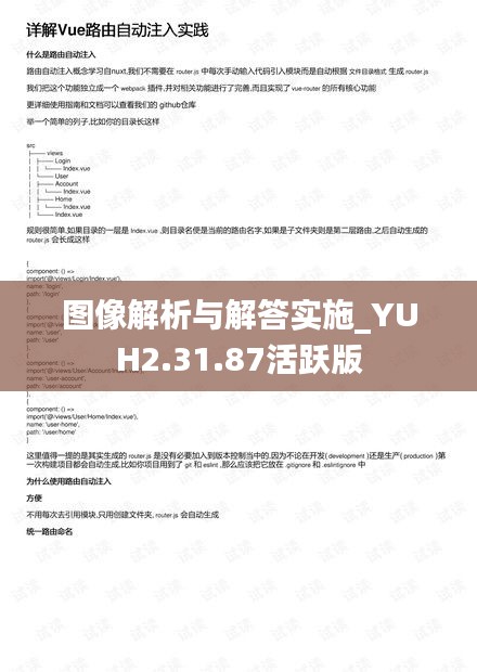 图像解析与解答实施_YUH2.31.87活跃版