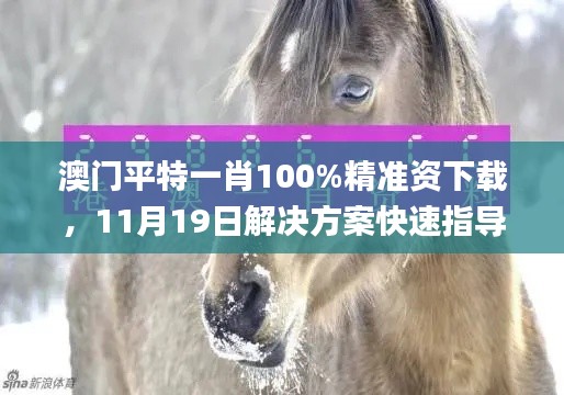 澳门平特一肖100%精准资下载，11月19日解决方案快速指导_JDJ6.68.58版本发布