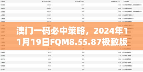 澳门一码必中策略，2024年11月19日FQM8.55.87极致版