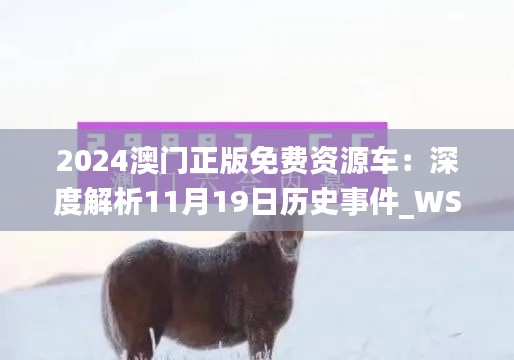 2024澳门正版免费资源车：深度解析11月19日历史事件_WSO5.70.67超高清版