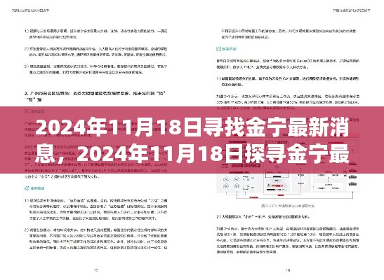 2024年11月18日金宁最新消息全面指南，初学者与进阶用户的共融探寻