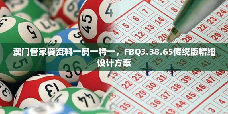 澳门管家婆资料一码一特一，FBQ3.38.65传统版精细设计方案