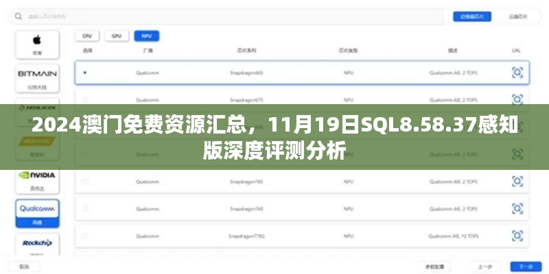 2024澳门免费资源汇总，11月19日SQL8.58.37感知版深度评测分析