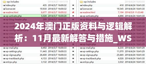 2024年澳门正版资料与逻辑解析：11月最新解答与措施_WSM2.60.79触感版