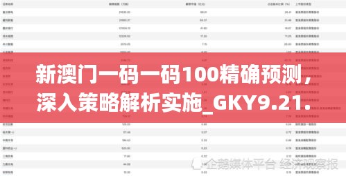 新澳门一码一码100精确预测，深入策略解析实施_GKY9.21.58品牌版