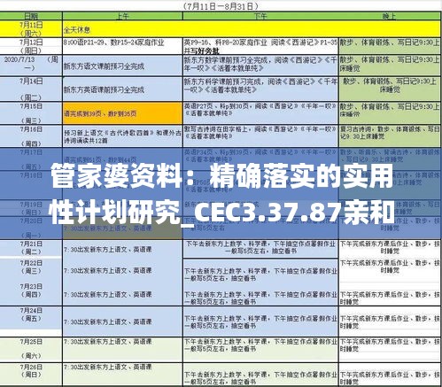 管家婆资料：精确落实的实用性计划研究_CEC3.37.87亲和版