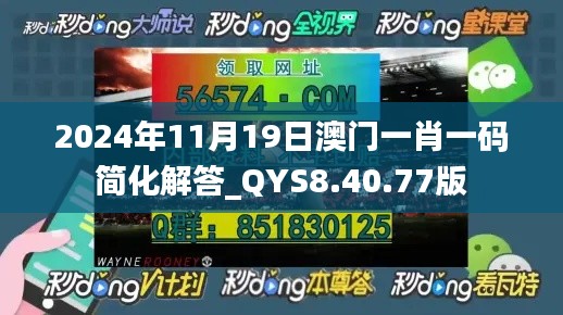 2024年11月19日澳门一肖一码简化解答_QYS8.40.77版