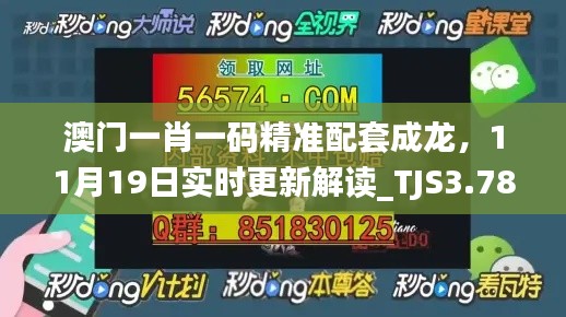 澳门一肖一码精准配套成龙，11月19日实时更新解读_TJS3.78.73七天版