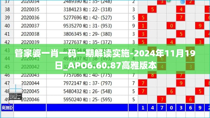 管家婆一肖一码一期解读实施-2024年11月19日_APO6.60.87高雅版本