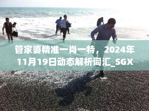 管家婆精准一肖一特，2024年11月19日动态解析词汇_SGX8.14.72独特版