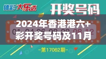 2024年香港港六+彩开奖号码及11月19日远程解答实施情况