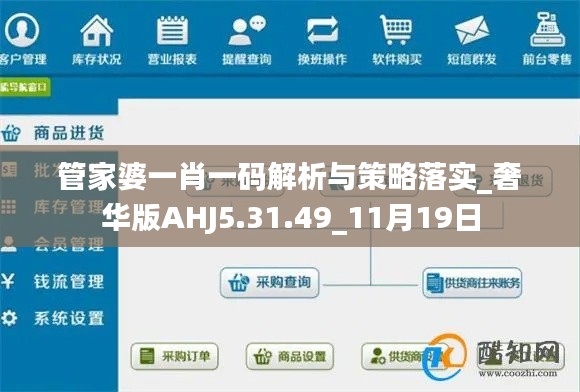 管家婆一肖一码解析与策略落实_奢华版AHJ5.31.49_11月19日