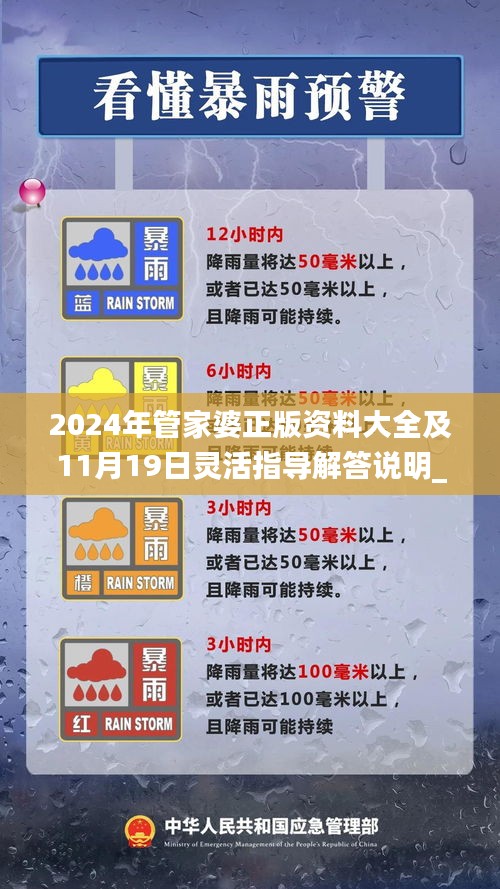 2024年管家婆正版资料大全及11月19日灵活指导解答说明_ANY2.19.81版本