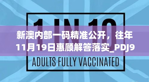 新澳内部一码精准公开，往年11月19日惠顾解答落实_PDJ9.61.60闪电版