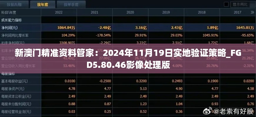 新澳门精准资料管家：2024年11月19日实地验证策略_FGD5.80.46影像处理版