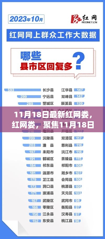 红网娄热议话题多元观点分析，聚焦11月18日热议话题