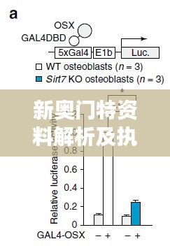 新奥门特资料解析及执行机制分析 - AAQ2.60.39优雅版