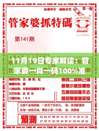 11月19日专家解读：管家婆一肖一码100%准确分析_VJN8.24.74交互版