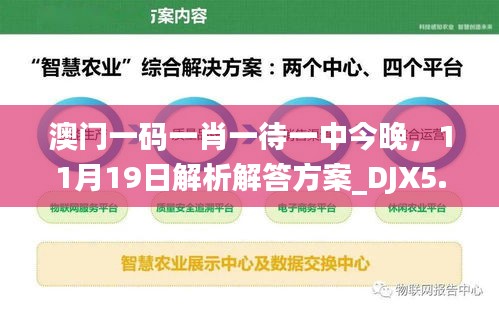 澳门一码一肖一待一中今晚，11月19日解析解答方案_DJX5.42.62清晰版