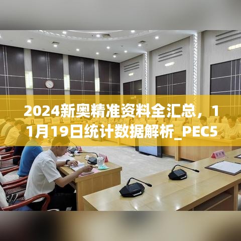 2024新奥精准资料全汇总，11月19日统计数据解析_PEC5.76.39影音体验版