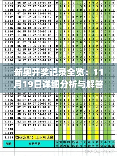 新奥开奖记录全览：11月19日详细分析与解答技巧_HKG5.62.56开放版