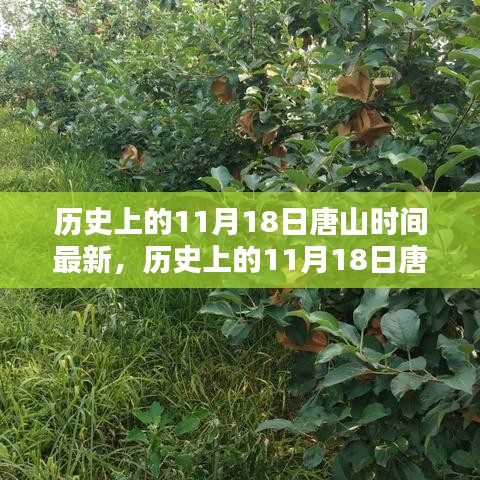 探寻唐山历史印记，揭秘11月18日的独特历程与时光印记