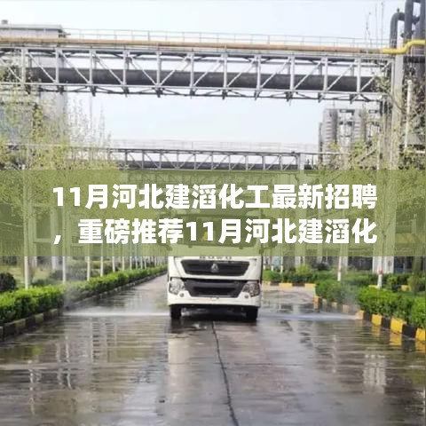 重磅推荐，11月河北建滔化工最新招聘启事，开启职业新征程！