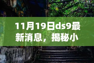 揭秘隐藏特色小店，DS9最新发现之小巷深处的独特风味（11月19日最新消息）