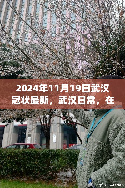 武汉温情时光，冠状新纪元下的日常记录（2024年11月19日）