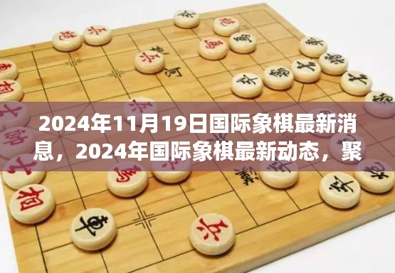 聚焦2024年11月19日，国际象棋最新动态与瞩目消息回顾