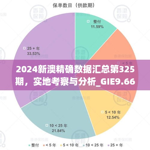 2024新澳精确数据汇总第325期，实地考察与分析_GIE9.66.84奢华版