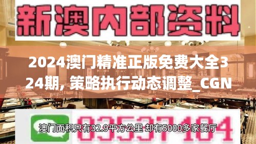 2024澳门精准正版免费大全324期, 策略执行动态调整_CGN1.18.65深度版