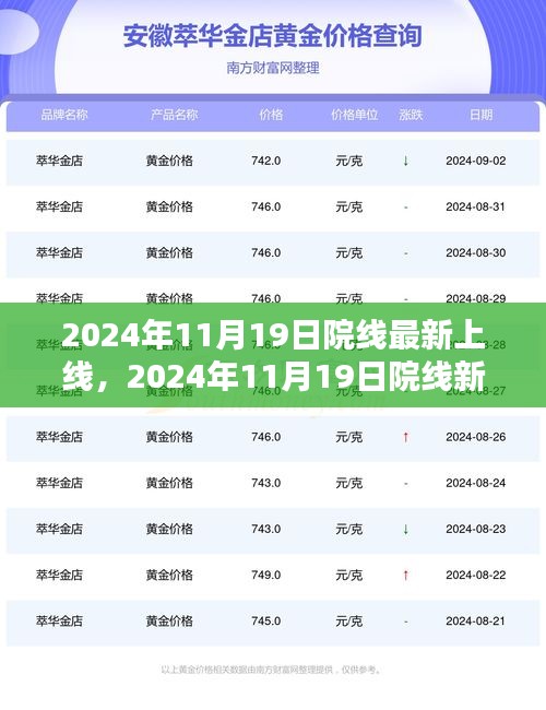 2024年11月19日院线新片速递，三大看点引领观影新潮流