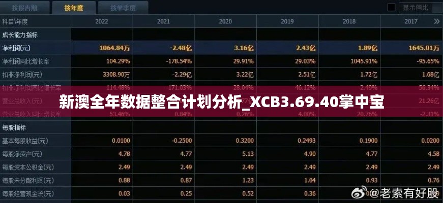 新澳全年数据整合计划分析_XCB3.69.40掌中宝