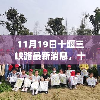 十堰三峡路新动态，学习之路的变革与成就感的源泉（最新消息）