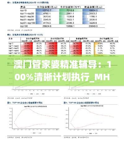 澳门管家婆精准辅导：100%清晰计划执行_MHH1.76.59炼脏境