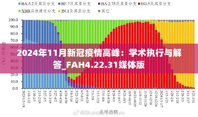 2024年11月新冠疫情高峰：学术执行与解答_FAH4.22.31媒体版