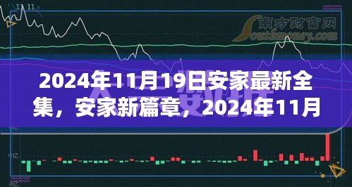 安家新篇章，2024年11月19日安家最新全集揭晓