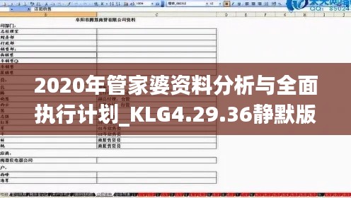 2020年管家婆资料分析与全面执行计划_KLG4.29.36静默版