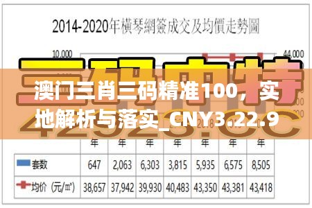 澳门三肖三码精准100，实地解析与落实_CNY3.22.93快速版