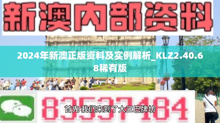 2024年新澳正版资料及实例解析_KLZ2.40.68稀有版