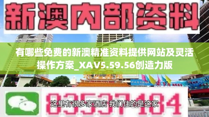 有哪些免费的新澳精准资料提供网站及灵活操作方案_XAV5.59.56创造力版